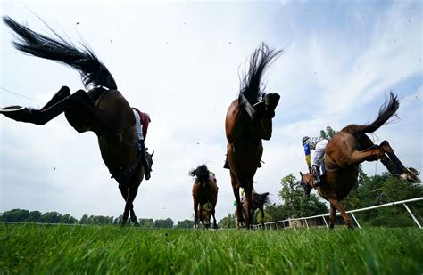 bbc horse racing documentary.